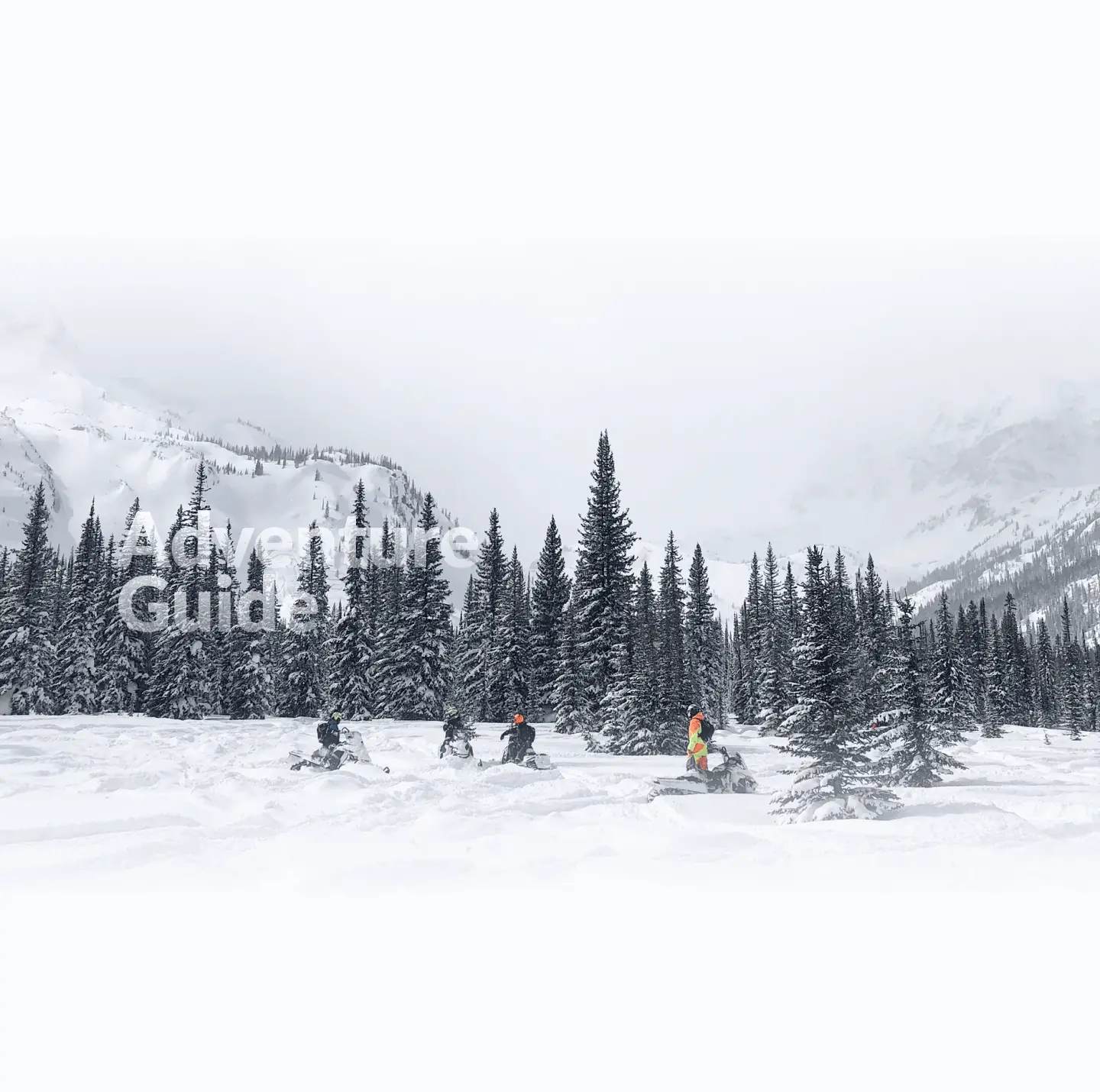 Изображение заснеженного леса