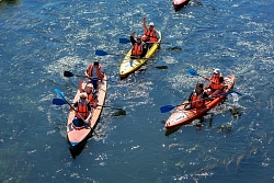 Комбинированный тур в Орловской области на майские праздники «Вело-водное приключение с проживанием в глэмпинге»  рис.5