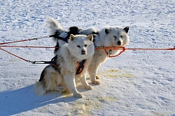 Expedition to Yakutia and Oymyakon: «The Pole of Cold + Lena Pillars»