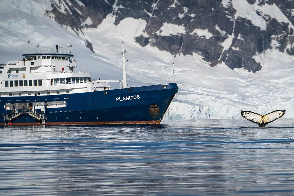 Экспедиционное судно ледового класса Plancius рис.5