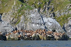 Expedition tour to Chukotka «Whales and walruses of the Beringia National Park» рис.4
