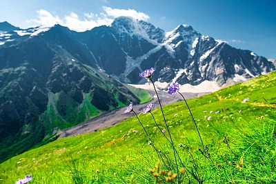 Trekking Tour in the Caucasus: 7 Days from Dombay to Elbrus