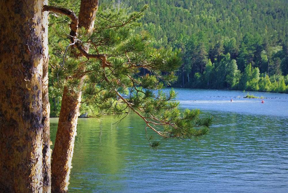 Озеро Тургояк в Челябинской области