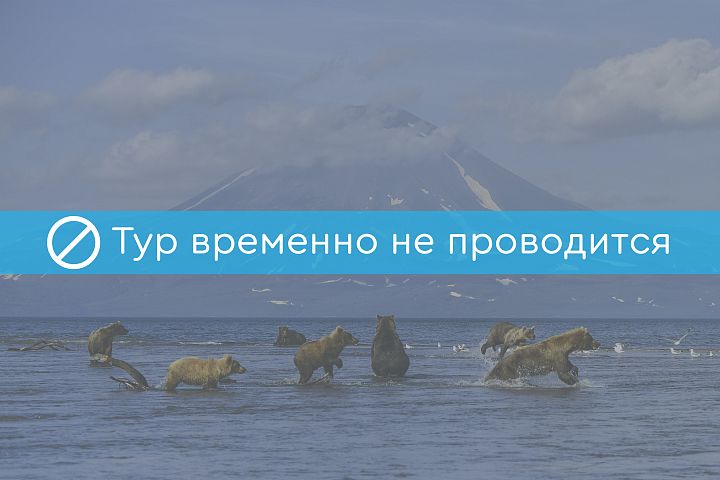 Фото тура: Треккинг к вулкану Кизимен и горячим источникам