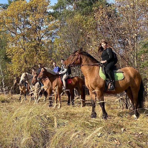 Фото тура: Конный тур во Владимирскую область «Будни на хуторе»