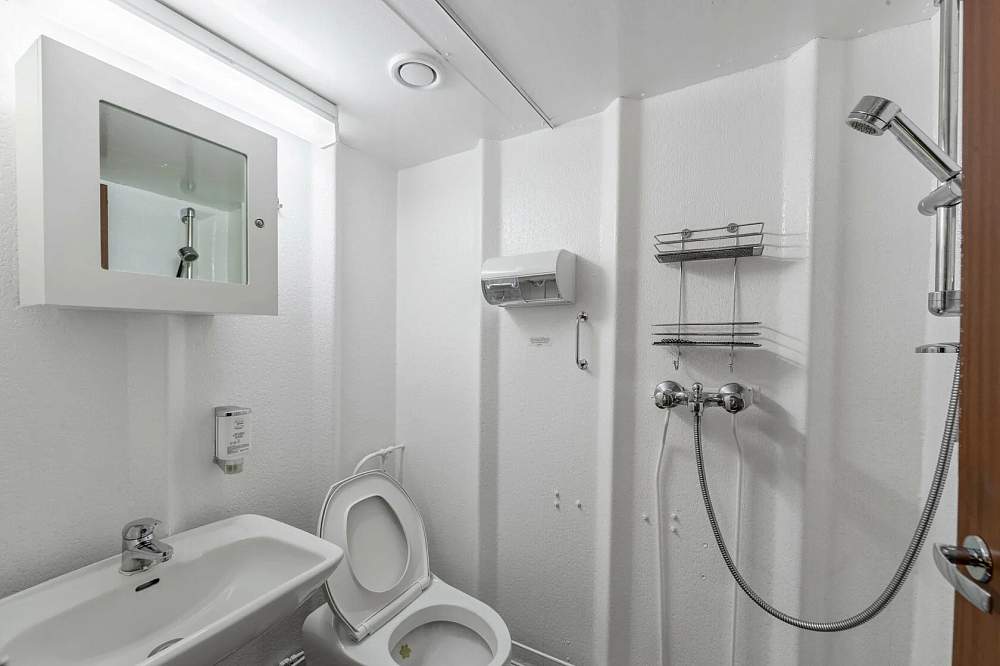 Люкс судовладельца («Профессор Хромов») рис.8