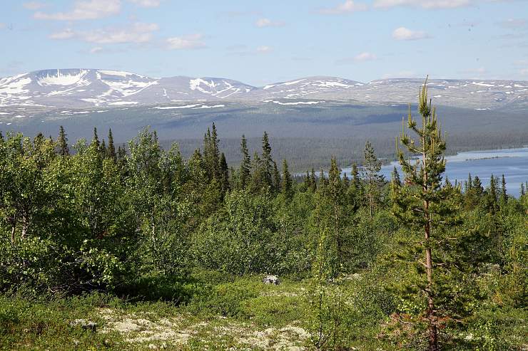 Ловозерские тундры