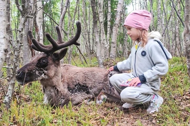 Фото тура: Экскурсионно-активный тур на Кольский полуостров «Весенний код Севера»
