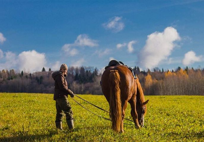 Фото тура: Конный тур в Костромскую область «Выходные в седле» на 2 дня