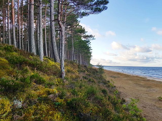Фото тура: Экскурсионно-активный тур в Калининграде «Hiking Camp»