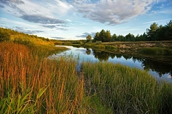 Сплав на байдарках по реке Медведица в Тверской области на майские и июньские праздники рис.2