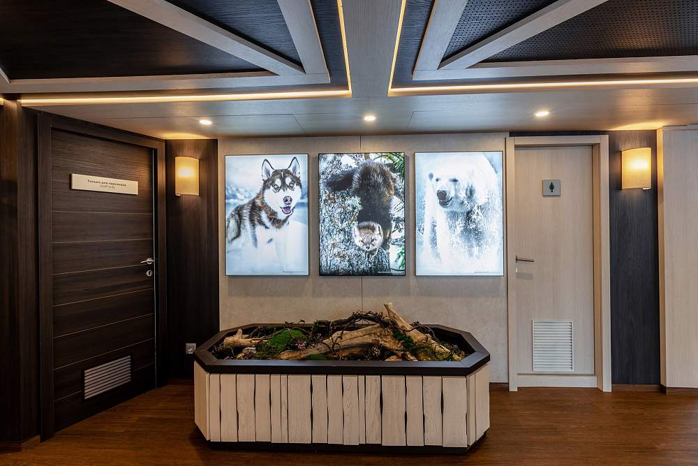 Теплоход «Максим Горький» рис.20