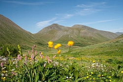 Активный тур на Ямале «Крайняя Восточная точка Европы» рис.2