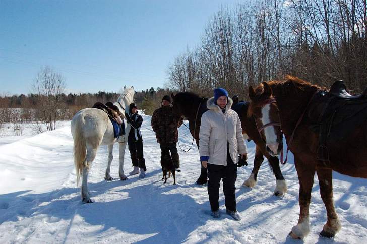 Конный тур в Костромскую область «Самый конный Новый год»