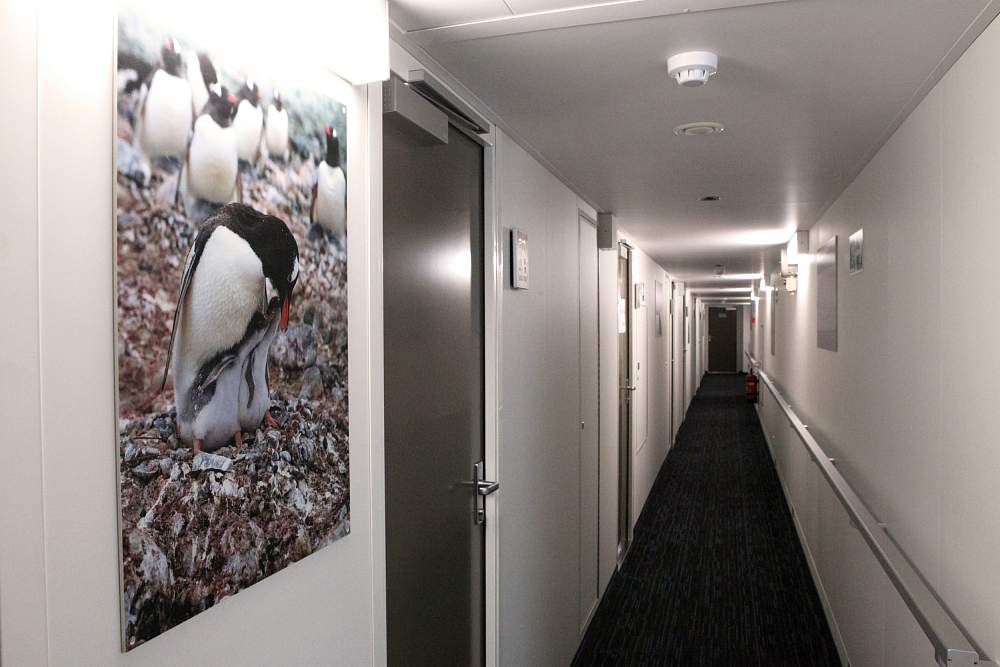 Экспедиционное судно ледового класса Ortelius рис.28