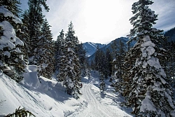 Combined tour to Baikal «Winter Baikal» рис.4