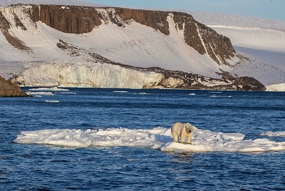 арктические высадки на Новой Земле во время активного маршрута