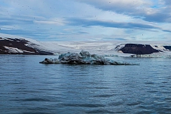 Экспедиционный круиз по Арктике на судне «Профессор Молчанов» «Земля Франца-Иосифа и Новая Земля» рис.5