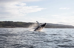 Экскурсионный тур на Кольский полуостров «В объятиях северных красот» рис.3