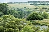Сплав на SUP-бордах по реке Зуша в Орловской области с проживанием в глэмпинге  рис.7
