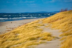 Комбинированный тур в Калининграде «Surf Camp Mini» рис.4