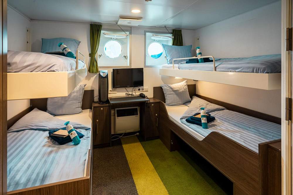 Четырехместная каюта (Ortelius) рис.1