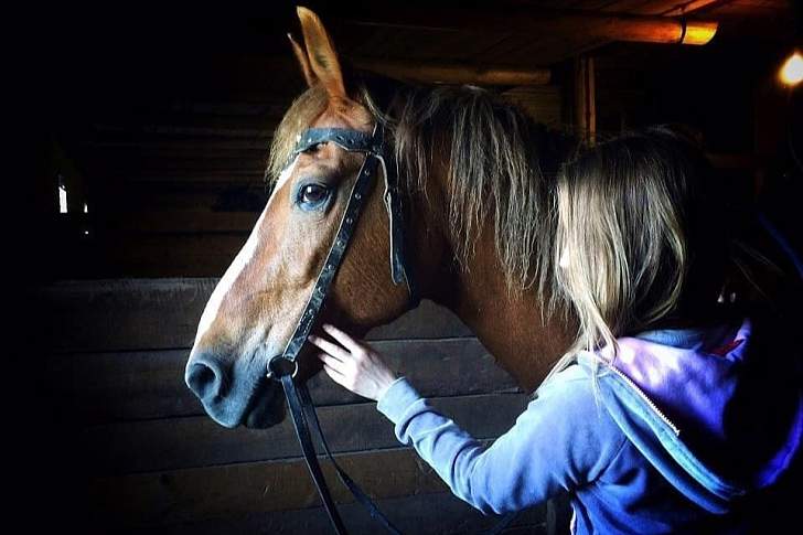 Конный тур в Костромскую область «Мир, покоренный лошадьми»