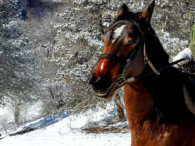 Фото тура: Комбинированный тур на Кавказе «Зимние приключения»