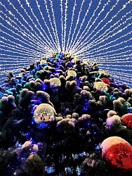 Комбинированный тур в Карелии «Семейный Новый Год» рис.5