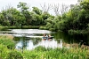 Комбинированный тур в Орловской области на майские праздники «Вело-водное приключение с проживанием в глэмпинге»  рис.7