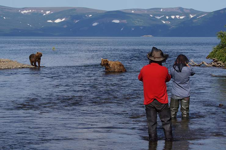 Наблюдение за медведями на Камчатке