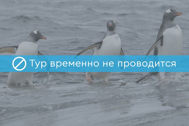 Фото тура: Круиз в Антарктиду с перелетом через пролив Дрейка на борту теплохода «Hebridean Sky»