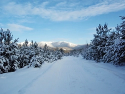  Конно-санный тур в Башкирии «По Табынскому краю» рис.5