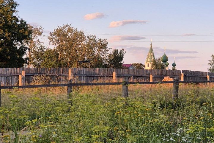 Фото тура: Конный тур в Костромскую область «Выходные в седле» на 2 дня