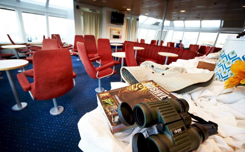 Экспедиторское судно — «Sea Endurance» бывший «Quest» рис.16