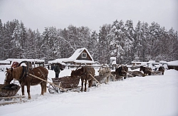  Конно-санный тур в Башкирии «Конно-санное приключение»  рис.2