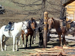 Экскурсионный тур на Алтае «Чуйские истории» рис.5