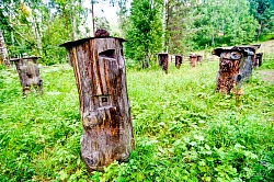 Комбинированный тур в Башкирии «Через три заповедника Урала»  рис.4