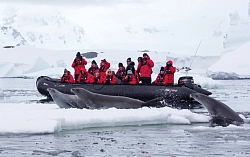 Экспедиционный круиз к Антарктическому полуострову на мега-яхте класса «люкс»  Le Boreal рис.2