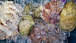 Гастрономический тур на Сахалин рис.3