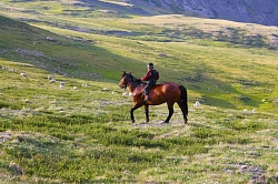 Комбинированный тур на Алтае «Хозяин Небесных Гор» рис.4