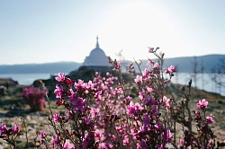 Круиз по Байкалу на теплоходе «Александр Великий» (поселок Листвянка – поселок Листвянка) «Пробуждение Байкала» (7 дней) рис.4