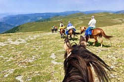 Конный тур на Алтае «Звериными тропами Айгулакского хребта» рис.5