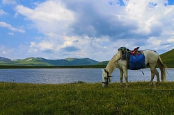 Конный тур на Алтае «К озерам Северо-Чуйского хребта» рис.3