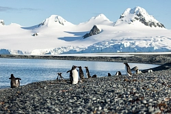 Парусная экспедиция к Антарктическому полуострову на судне Amazone + SKITOUR (с перелетом через пролив Дрейка) рис.3