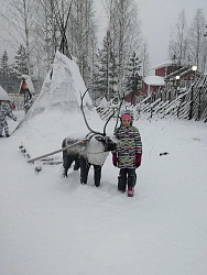 Комбинированный тур в Карелии «Семейный Новый Год» рис.4