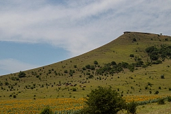 Тур на квадроциклах на Кавказе «Ставропольские степи» рис.5