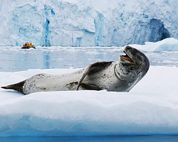 Путешествие в Антарктиду с перелетом на частном самолете рис.3