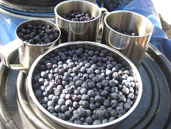 Сплав на катамаранах по реке Кереть в Карелии «Путь к Белому морю», 3 дня рис.3