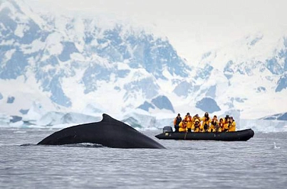 Экспедиционный круиз к Антарктическому полуострову «Море Уэдделла» на борту роскошного ледокола Le Commandant Charcot (14 дней) рис.1